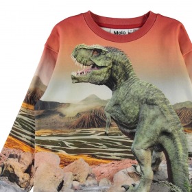 Molo sweatshirt Mountoo, Dino Landscape