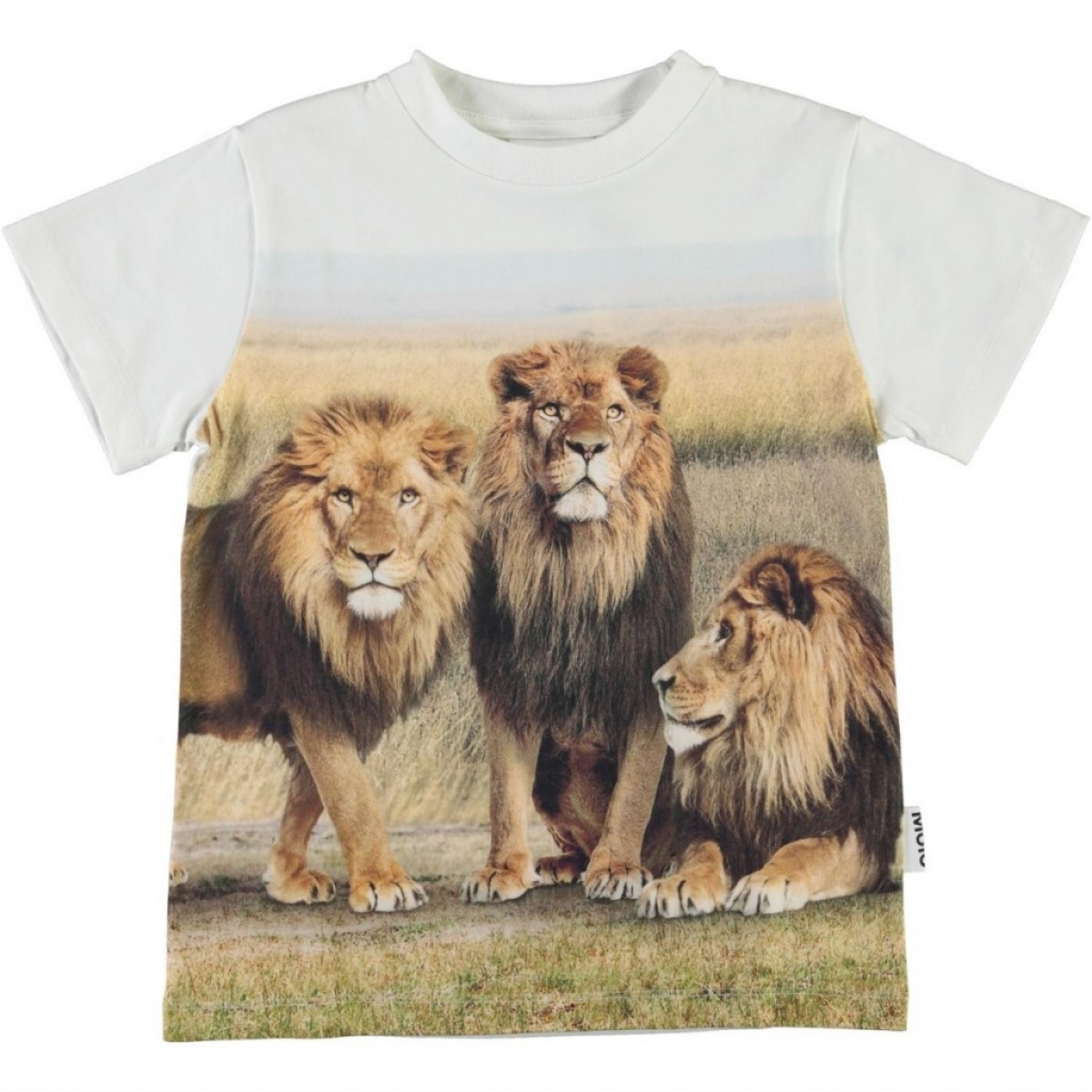 Molo t-shirt Road Lions hos - her
