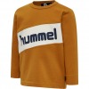 Hummel t-shirt Clement langærmet, pumpkin spice, Gylden orange